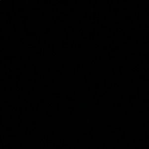 Meet your Posher, Evan